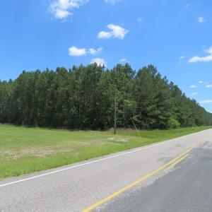 Photo of REDUCED!  155 Acres of Golf Course and Development Land For Sale in Horry County SC!
