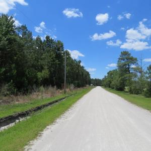 Photo of REDUCED!  155 Acres of Golf Course and Development Land For Sale in Horry County SC!