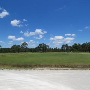 Photo of REDUCED!  155 Acres of Golf Course and Development Land For Sale in Horry County SC!