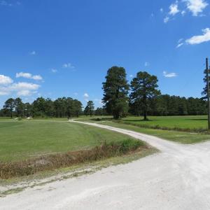 Photo of REDUCED!  155 Acres of Golf Course and Development Land For Sale in Horry County SC!