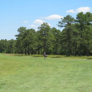 Photo of REDUCED!  155 Acres of Golf Course and Development Land For Sale in Horry County SC!