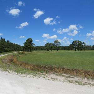 Photo of REDUCED!  155 Acres of Golf Course and Development Land For Sale in Horry County SC!