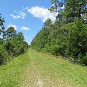 Photo of REDUCED!  155 Acres of Golf Course and Development Land For Sale in Horry County SC!