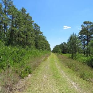 Photo of REDUCED!  155 Acres of Golf Course and Development Land For Sale in Horry County SC!