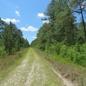 Photo of REDUCED!  155 Acres of Golf Course and Development Land For Sale in Horry County SC!