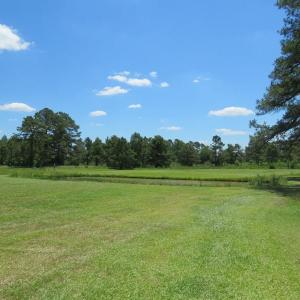 Photo of REDUCED!  155 Acres of Golf Course and Development Land For Sale in Horry County SC!