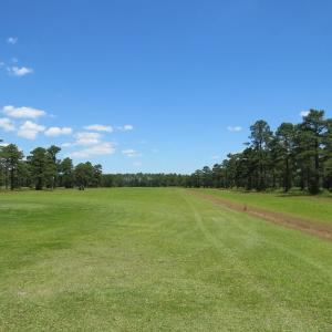Photo of REDUCED!  155 Acres of Golf Course and Development Land For Sale in Horry County SC!