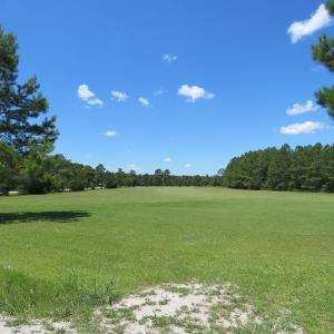 Photo of REDUCED!  155 Acres of Golf Course and Development Land For Sale in Horry County SC!