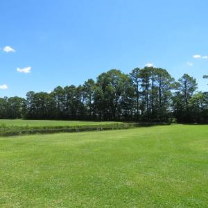 Photo of REDUCED!  155 Acres of Golf Course and Development Land For Sale in Horry County SC!