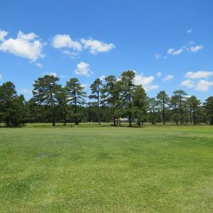 Photo of REDUCED!  155 Acres of Golf Course and Development Land For Sale in Horry County SC!