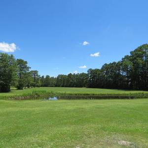 Photo of REDUCED!  155 Acres of Golf Course and Development Land For Sale in Horry County SC!