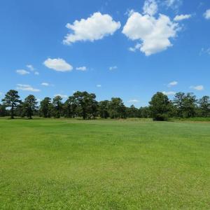 Photo of REDUCED!  155 Acres of Golf Course and Development Land For Sale in Horry County SC!