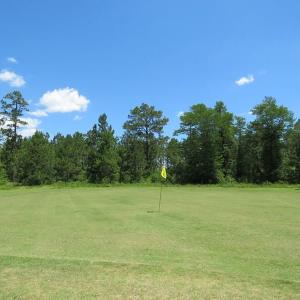 Photo of REDUCED!  155 Acres of Golf Course and Development Land For Sale in Horry County SC!