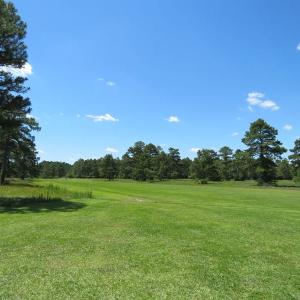 Photo of REDUCED!  155 Acres of Golf Course and Development Land For Sale in Horry County SC!