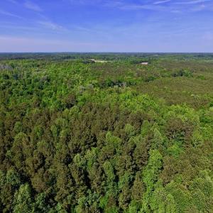 Photo of SOLD!! 31.36 Acres of Farm and Investment Land For Sale in Nash County NC!