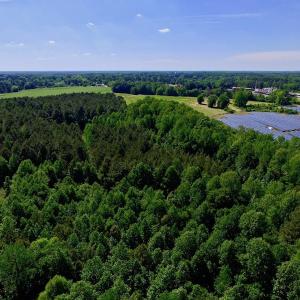 Photo of SOLD!! 31.36 Acres of Farm and Investment Land For Sale in Nash County NC!