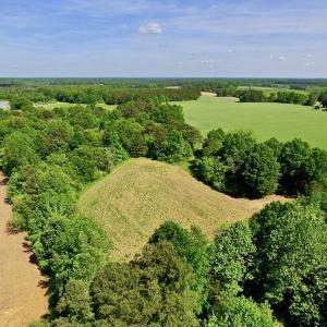 Photo of SOLD!! 31.36 Acres of Farm and Investment Land For Sale in Nash County NC!