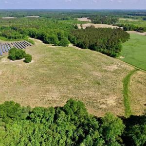 Photo of SOLD!! 31.36 Acres of Farm and Investment Land For Sale in Nash County NC!