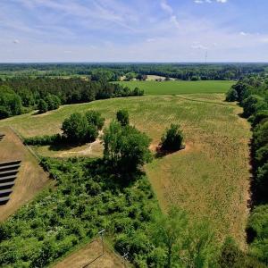 Photo of SOLD!! 31.36 Acres of Farm and Investment Land For Sale in Nash County NC!