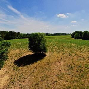Photo of SOLD!! 31.36 Acres of Farm and Investment Land For Sale in Nash County NC!