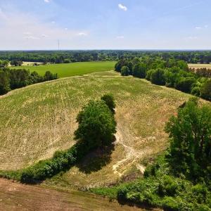 Photo of SOLD!! 31.36 Acres of Farm and Investment Land For Sale in Nash County NC!