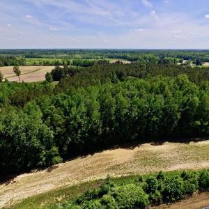 Photo of SOLD!! 31.36 Acres of Farm and Investment Land For Sale in Nash County NC!