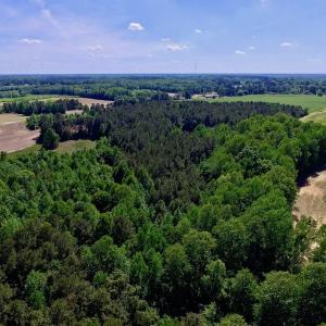 Photo of SOLD!! 31.36 Acres of Farm and Investment Land For Sale in Nash County NC!