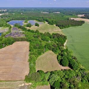 Photo of SOLD!! 31.36 Acres of Farm and Investment Land For Sale in Nash County NC!