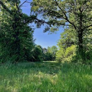 Photo of SOLD!! 31.36 Acres of Farm and Investment Land For Sale in Nash County NC!