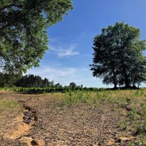 Photo of SOLD!! 31.36 Acres of Farm and Investment Land For Sale in Nash County NC!