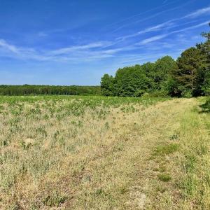 Photo of SOLD!! 31.36 Acres of Farm and Investment Land For Sale in Nash County NC!