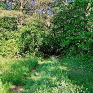 Photo of SOLD!! 31.36 Acres of Farm and Investment Land For Sale in Nash County NC!