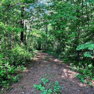 Photo of SOLD!! 31.36 Acres of Farm and Investment Land For Sale in Nash County NC!