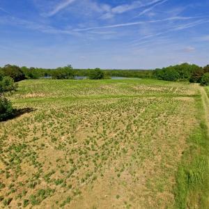 Photo of SOLD!! 31.36 Acres of Farm and Investment Land For Sale in Nash County NC!