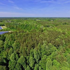 Photo of SOLD!! 31.36 Acres of Farm and Investment Land For Sale in Nash County NC!