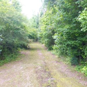 Photo of UNDER CONTRACT!  47.77 Acres of Residential Farm and Hunting Land  For Sale in Robeson County NC!
