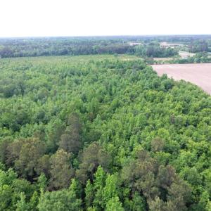 Photo of UNDER CONTRACT!  47.77 Acres of Residential Farm and Hunting Land  For Sale in Robeson County NC!
