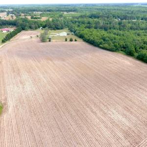 Photo of UNDER CONTRACT!  47.77 Acres of Residential Farm and Hunting Land  For Sale in Robeson County NC!