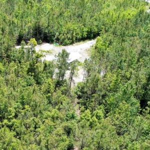 Photo of UNDER CONTRACT!  50 Acres of Hunting Land For Sale In Pamlico County NC!