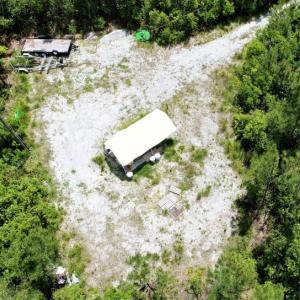 Photo of UNDER CONTRACT!  50 Acres of Hunting Land For Sale In Pamlico County NC!