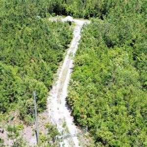 Photo of UNDER CONTRACT!  50 Acres of Hunting Land For Sale In Pamlico County NC!