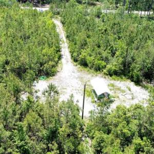 Photo of UNDER CONTRACT!  50 Acres of Hunting Land For Sale In Pamlico County NC!