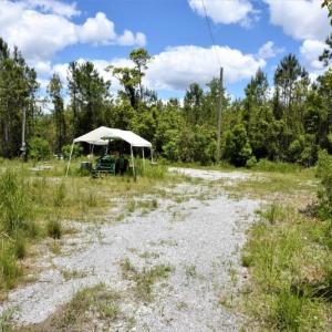 Photo of UNDER CONTRACT!  50 Acres of Hunting Land For Sale In Pamlico County NC!