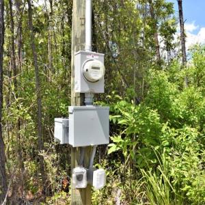Photo of UNDER CONTRACT!  50 Acres of Hunting Land For Sale In Pamlico County NC!