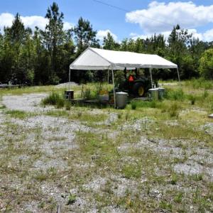 Photo of UNDER CONTRACT!  50 Acres of Hunting Land For Sale In Pamlico County NC!