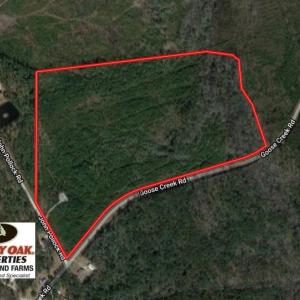 Photo of UNDER CONTRACT!  50 Acres of Hunting Land For Sale In Pamlico County NC!