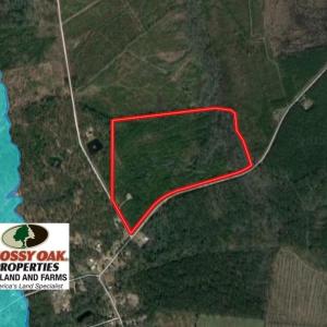 Photo of UNDER CONTRACT!  50 Acres of Hunting Land For Sale In Pamlico County NC!