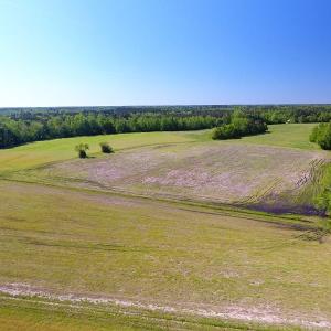 Photo of UNDER CONTRACT!  8 Acres of Pasture and Hunting Land with Home For Sale in Robeson County NC!