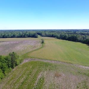 Photo of UNDER CONTRACT!  8 Acres of Pasture and Hunting Land with Home For Sale in Robeson County NC!