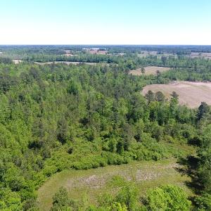 Photo of UNDER CONTRACT!  8 Acres of Pasture and Hunting Land with Home For Sale in Robeson County NC!